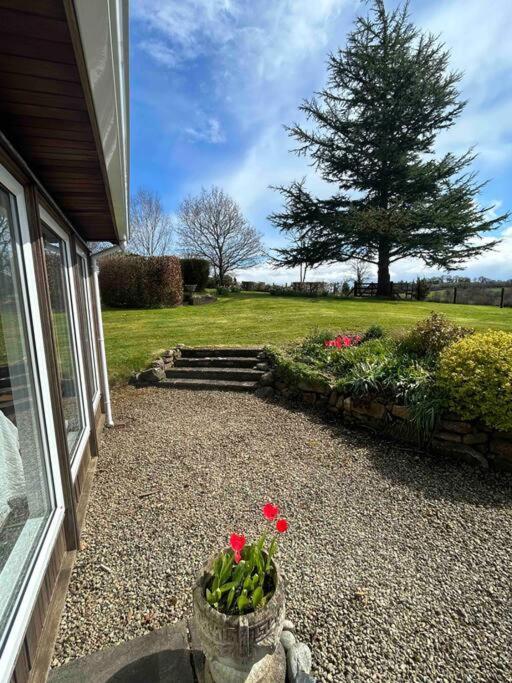 Wooden Cottage With Lake View Enniskillen Exterior foto